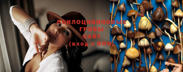 дживик Вяземский