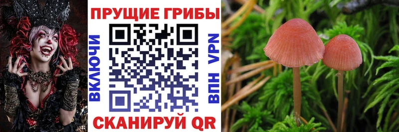 Галлюциногенные грибы мухоморы  Петровск 
